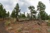 Sunset Crater National Monument